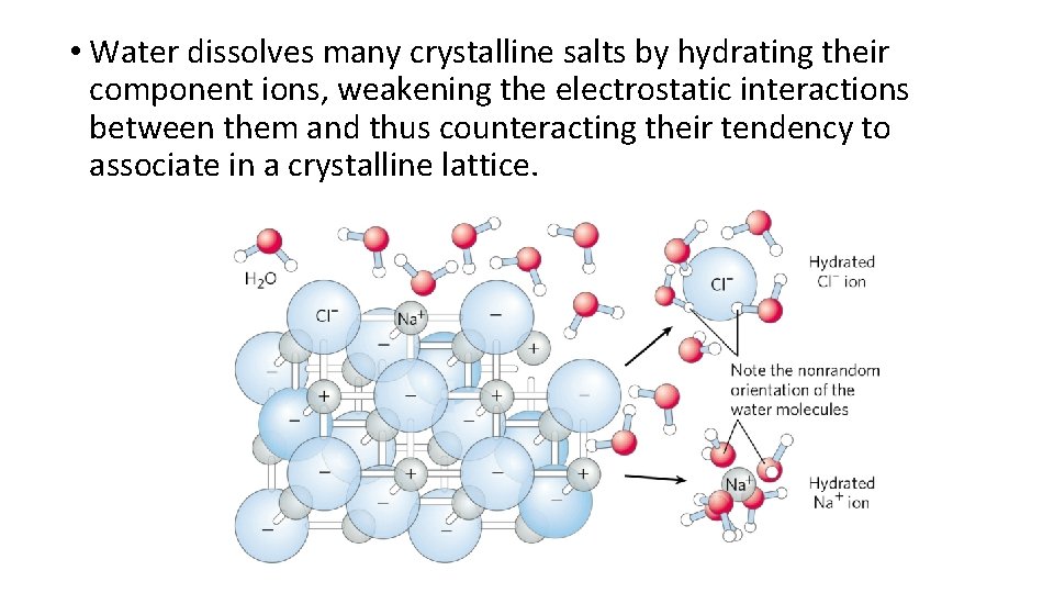  • Water dissolves many crystalline salts by hydrating their component ions, weakening the