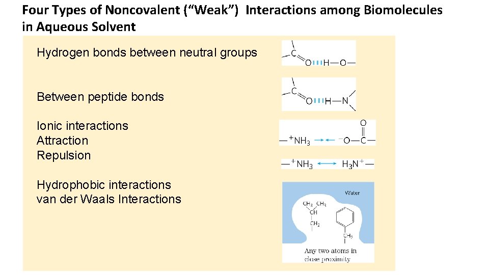 Four Types of Noncovalent (“Weak”) Interactions among Biomolecules in Aqueous Solvent Hydrogen bonds between