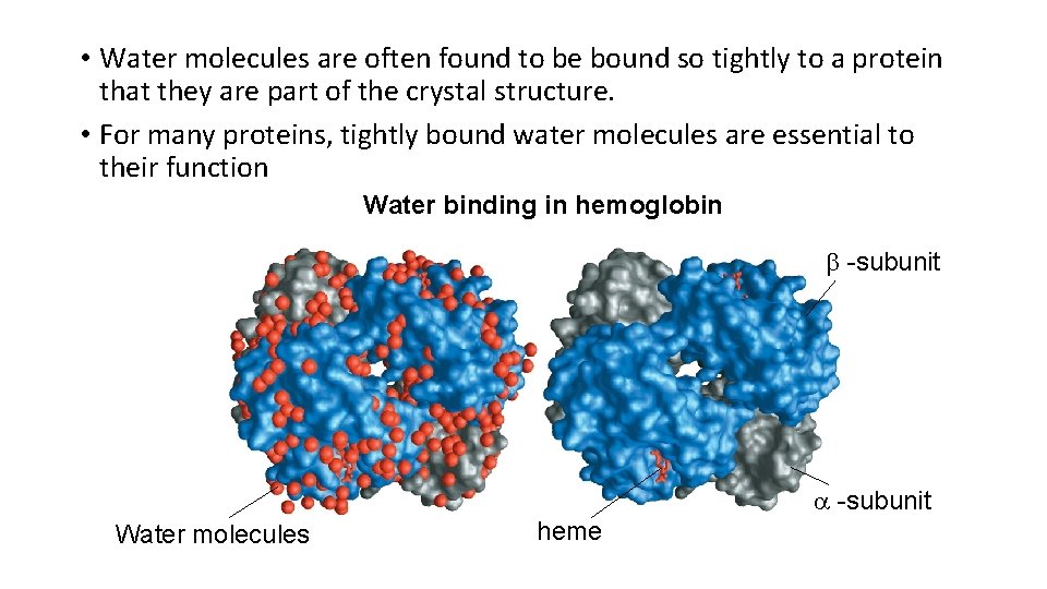  • Water molecules are often found to be bound so tightly to a