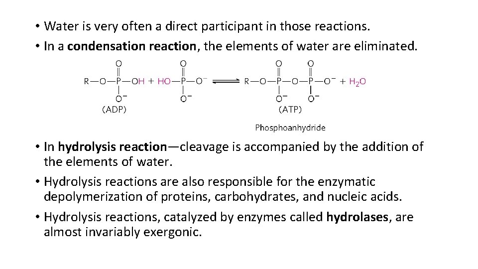  • Water is very often a direct participant in those reactions. • In