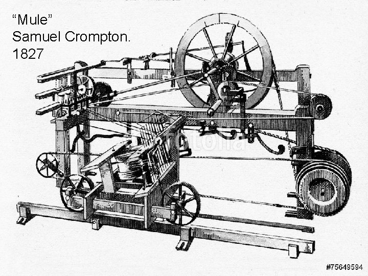 “Mule” Samuel Crompton. 1827 