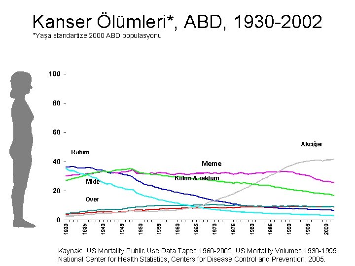 Kanser Ölümleri*, ABD, 1930 -2002 *Yaşa standartize 2000 ABD populasyonu Akciğer Rahim Meme Mide