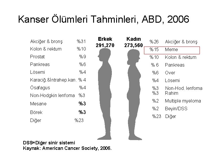 Kanser Ölümleri Tahminleri, ABD, 2006 Akciğer & bronş %31 Kolon & rektum %10 Erkek