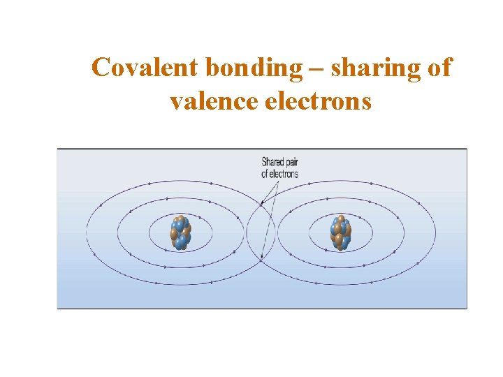 Covalent bonding – sharing of valence electrons 