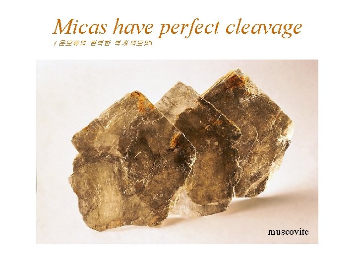 Micas have perfect cleavage ( 운모류의 완벽한 벽개 의모양) muscovite 