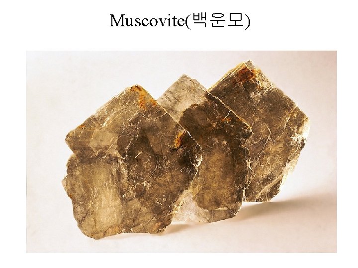 Muscovite(백운모) 