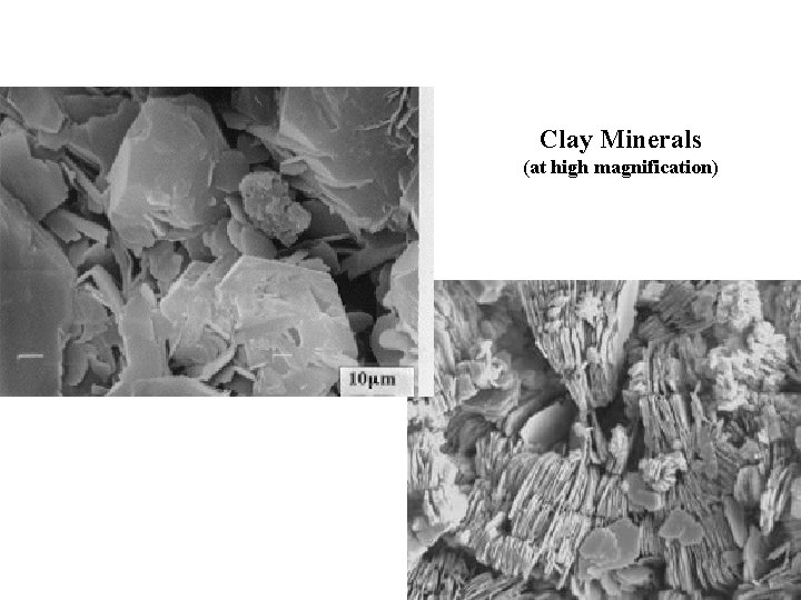 Clay Minerals (at high magnification) 