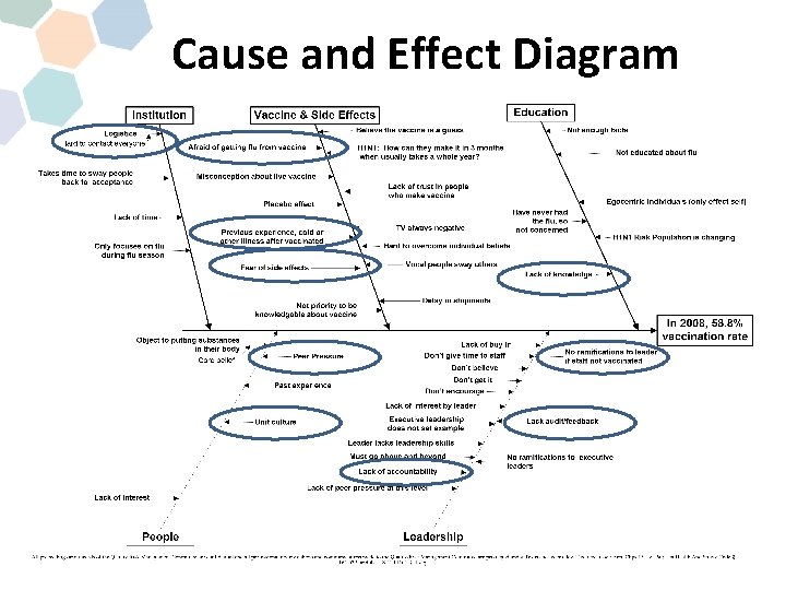 Cause and Effect Diagram 