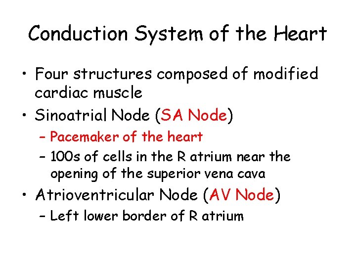 Conduction System of the Heart • Four structures composed of modified cardiac muscle •