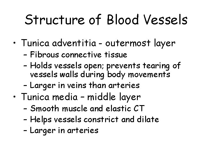 Structure of Blood Vessels • Tunica adventitia - outermost layer – Fibrous connective tissue