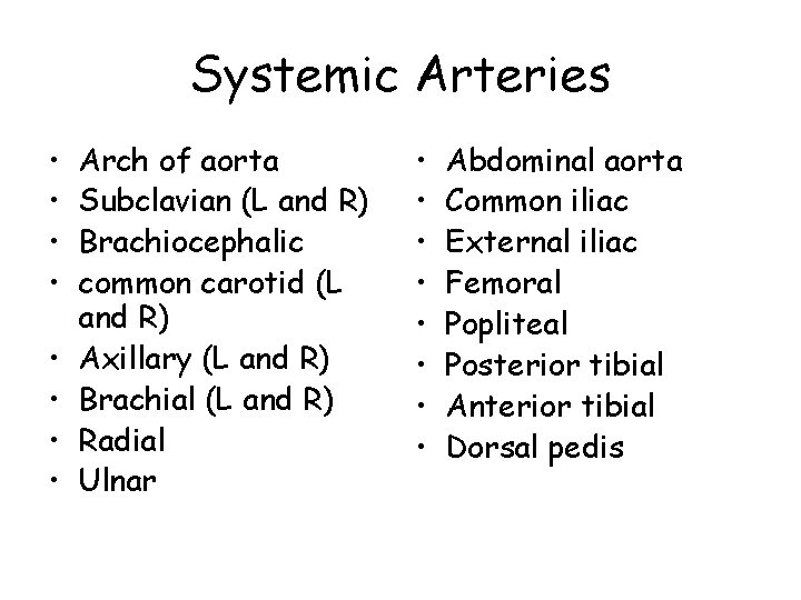 Systemic Arteries • • Arch of aorta Subclavian (L and R) Brachiocephalic common carotid