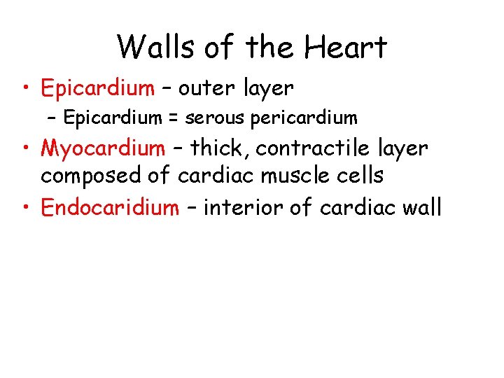 Walls of the Heart • Epicardium – outer layer – Epicardium = serous pericardium