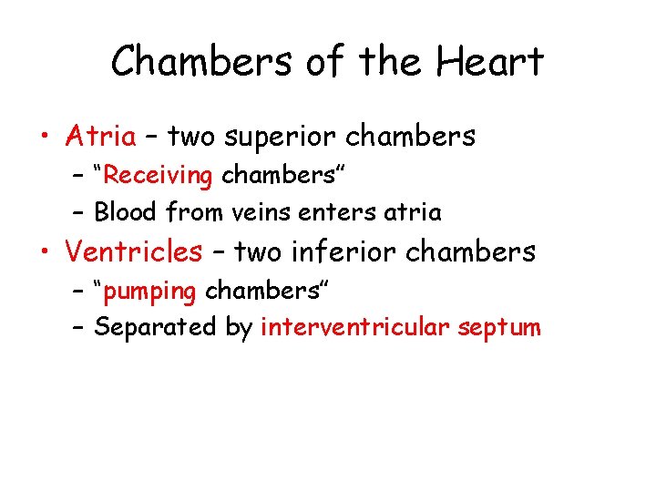 Chambers of the Heart • Atria – two superior chambers – “Receiving chambers” –