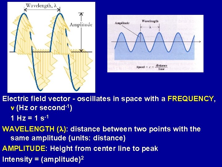 Electric field vector - oscillates in space with a FREQUENCY, n (Hz or second-1)