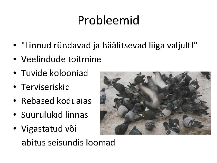 Probleemid • "Linnud ründavad ja häälitsevad liiga valjult!" • Veelindude toitmine • Tuvide kolooniad