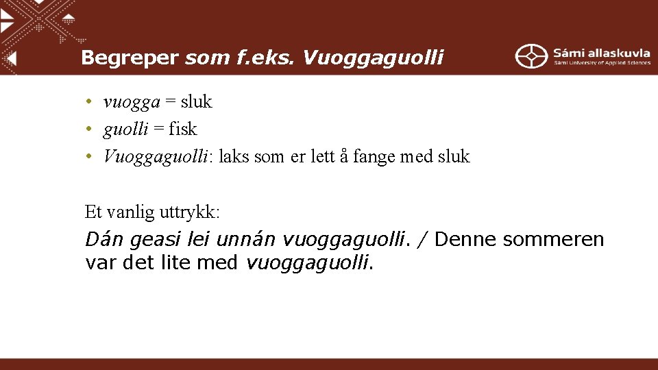 Begreper som f. eks. Vuoggaguolli • vuogga = sluk • guolli = fisk •