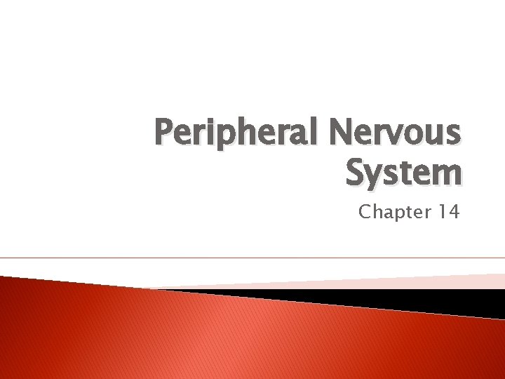 Peripheral Nervous System Chapter 14 
