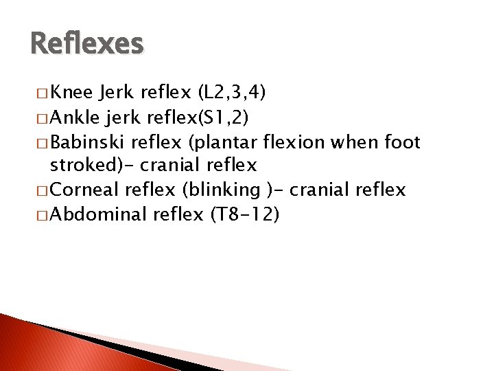 Reflexes � Knee Jerk reflex (L 2, 3, 4) � Ankle jerk reflex(S 1,