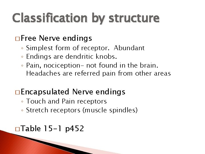 Classification by structure � Free Nerve endings ◦ Simplest form of receptor. Abundant ◦