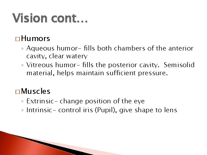 Vision cont… � Humors ◦ Aqueous humor- fills both chambers of the anterior cavity,