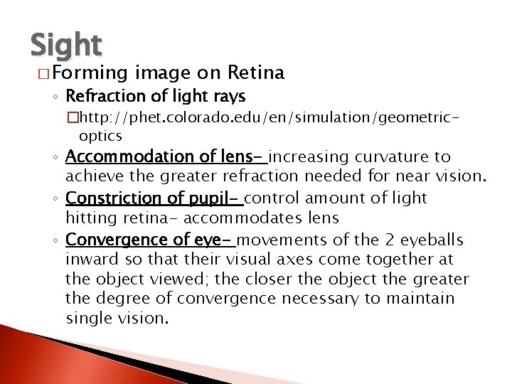 Sight � Forming image on Retina ◦ Refraction of light rays �http: //phet. colorado.