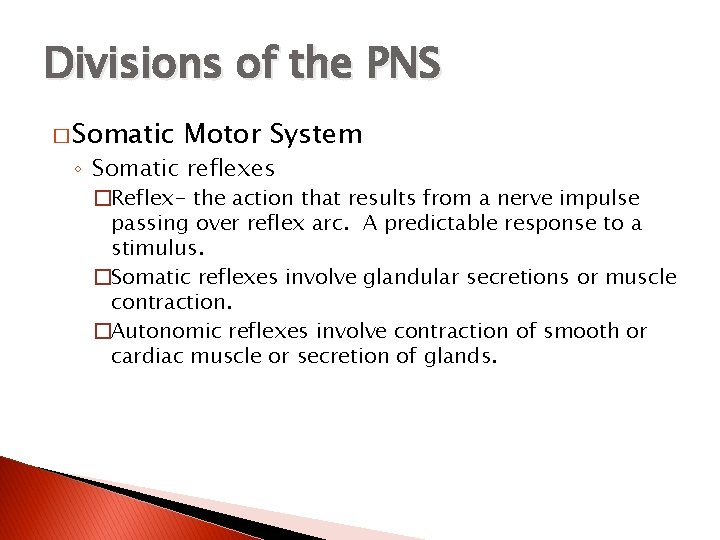 Divisions of the PNS � Somatic Motor System ◦ Somatic reflexes �Reflex- the action