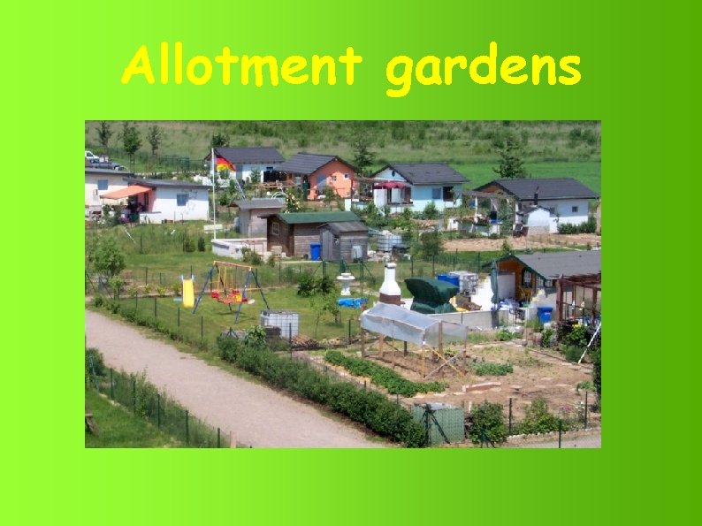 Allotment gardens 