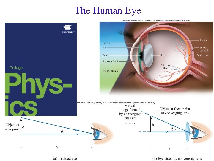 The Human Eye PHY 2054: Chapter 26 B Eye (Open. Stax) 1 