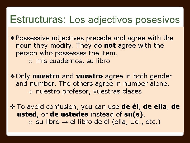 Estructuras: Los adjectivos posesivos v. Possessive adjectives precede and agree with the noun they