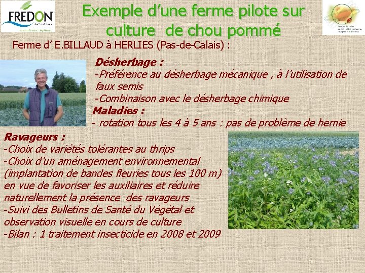 Exemple d’une ferme pilote sur culture de chou pommé Ferme d’ E. BILLAUD à