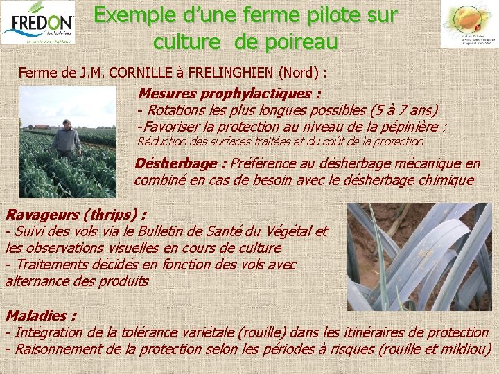 Exemple d’une ferme pilote sur culture de poireau Ferme de J. M. CORNILLE à