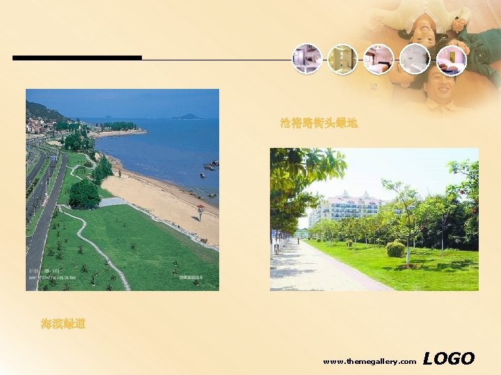 沧裕路街头绿地 海滨绿道 www. themegallery. com LOGO 沧裕路街头绿地 海滨绿道 www. themegallery. com LOGO