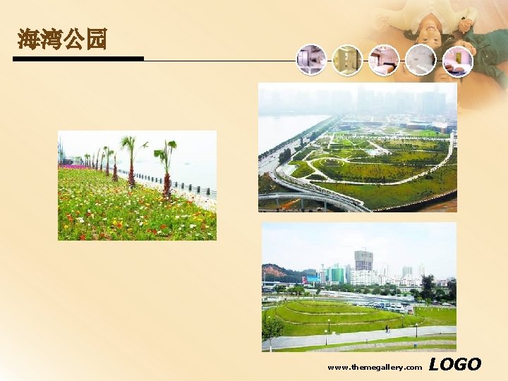 海湾公园 www. themegallery. com LOGO 海湾公园 www. themegallery. com LOGO
