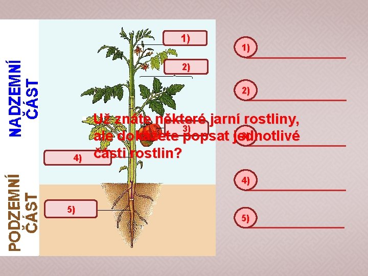 1) 1) 2) 2) § Už znáte některé jarní rostliny, 3) 3) ale dokážete