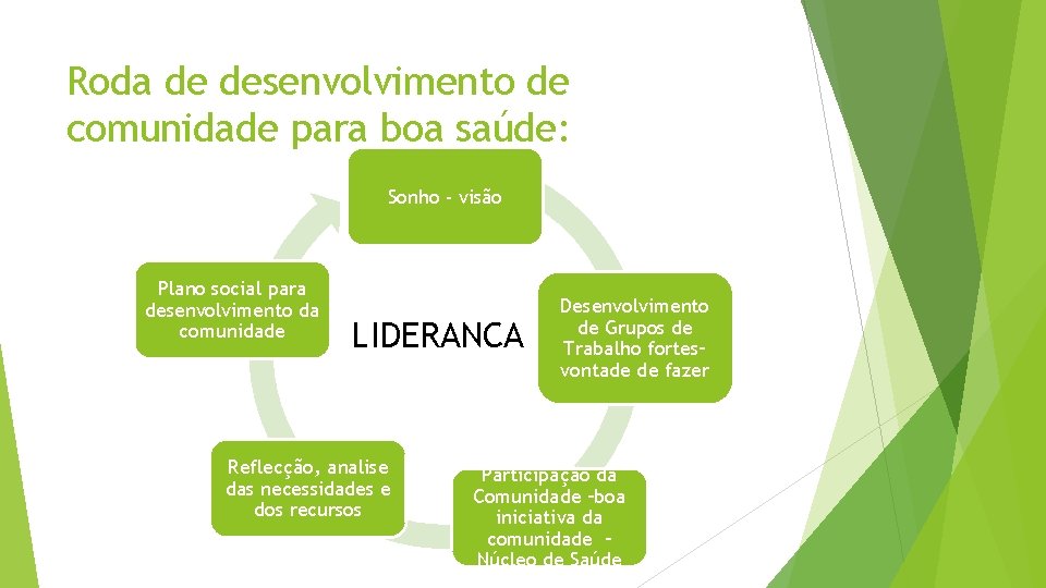 Roda de desenvolvimento de comunidade para boa saúde: Sonho - visão Plano social para