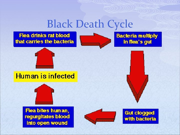 Black Death Cycle 