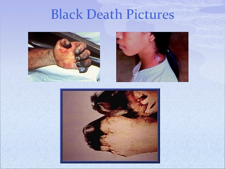 Black Death Pictures 