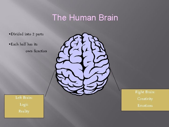 The Human Brain • Divided into 2 parts • Each half has its own The Human Brain • Divided into 2 parts • Each half has its own