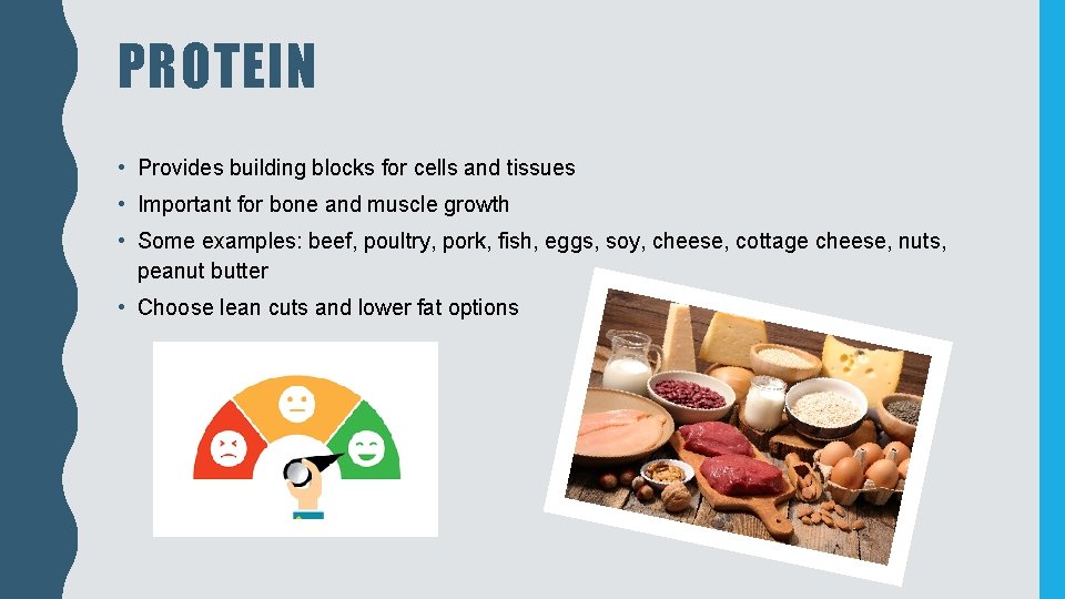 PROTEIN • Provides building blocks for cells and tissues • Important for bone and