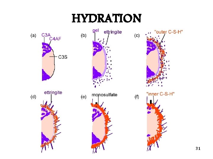 HYDRATION Mayur M Maske 31 