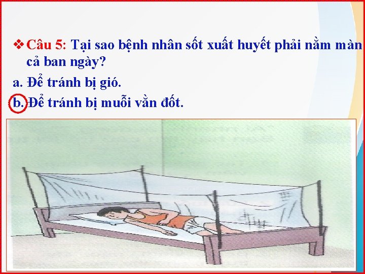 v Câu 5: Tại sao bệnh nhân sốt xuất huyết phải nằm màn cả