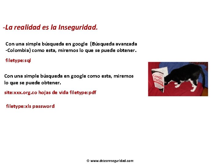 -La realidad es la Inseguridad. Con una simple búsqueda en google (Búsqueda avanzada -Colombia)