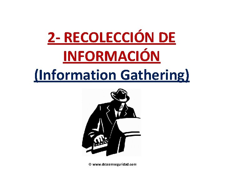 2 - RECOLECCIÓN DE INFORMACIÓN (Information Gathering) © www. dsteamseguridad. com 