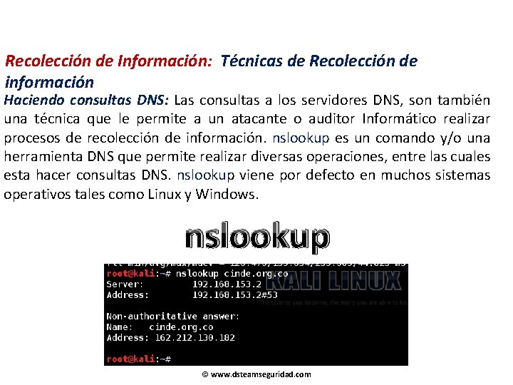 Recolección de Información: Técnicas de Recolección de información Haciendo consultas DNS: Las consultas a