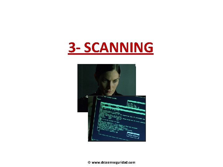 3 - SCANNING © www. dsteamseguridad. com 