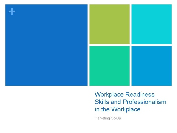 + Workplace Readiness Skills and Professionalism in the Workplace Marketing Co-Op 