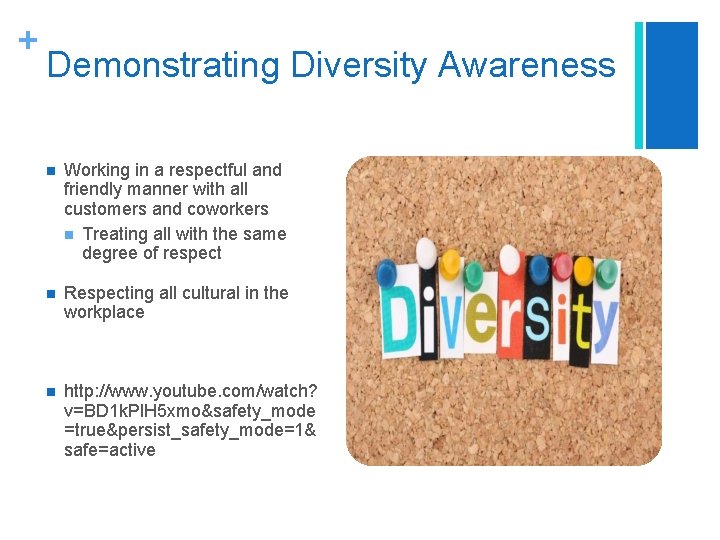 + Demonstrating Diversity Awareness n Working in a respectful and friendly manner with all