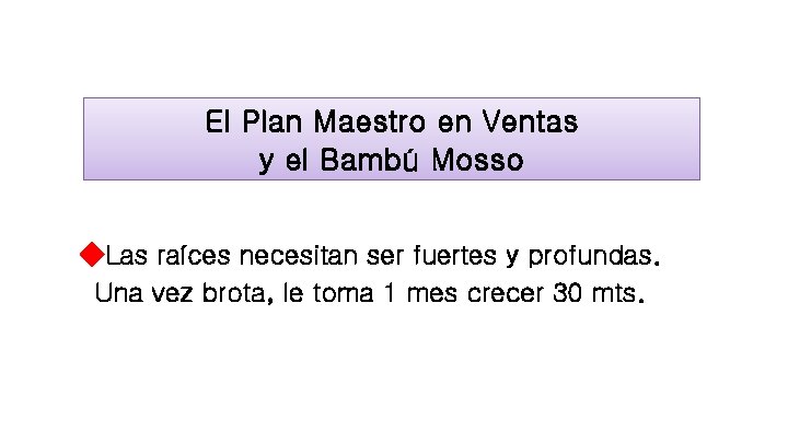 El Plan Maestro en Ventas y el Bambú Mosso ◆Las raíces necesitan ser fuertes