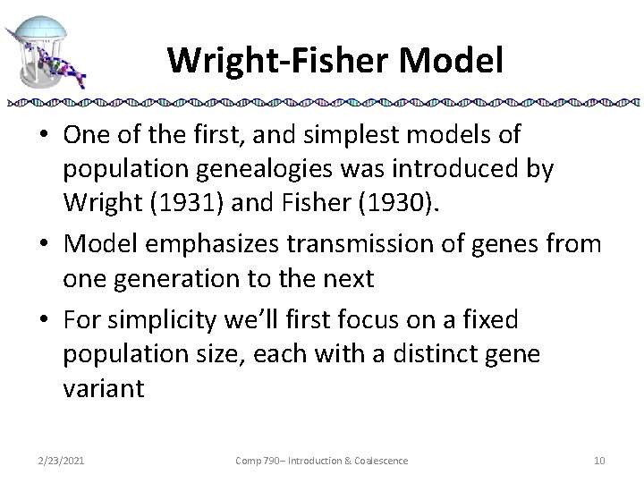 Wright-Fisher Model • One of the first, and simplest models of population genealogies was