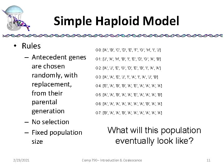 Simple Haploid Model • Rules G 0: ['A', 'B', 'C', 'D', 'E', 'F', 'G',
